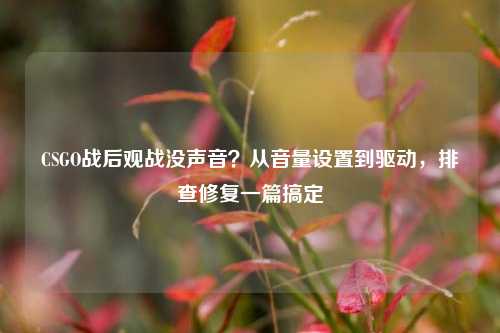 CSGO战后观战没声音？从音量设置到驱动，排查修复一篇搞定