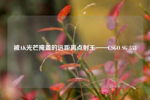 被AK光芒掩盖的远距离点射王——CSGO SG 553