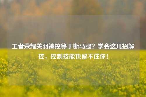王者荣耀关羽被控等于断马腿？学会这几招解控，控制技能也留不住你！