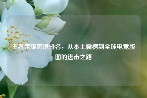 王者荣耀跨境排名，从本土霸榜到全球电竞版图的进击之路