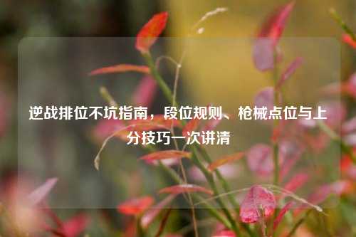 逆战排位不坑指南,段位规则、枪械点位与上分技巧一次讲清