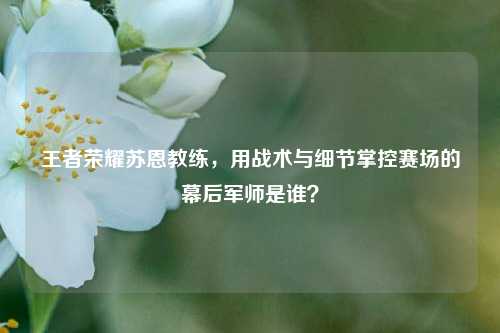 王者荣耀苏恩教练,用战术与细节掌控赛场的幕后军师是谁?