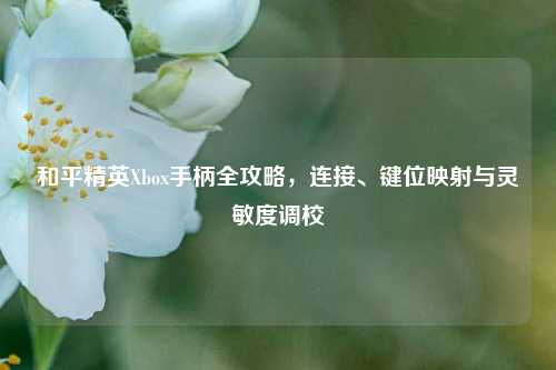 和平精英Xbox手柄全攻略,连接、键位映射与灵敏度调校