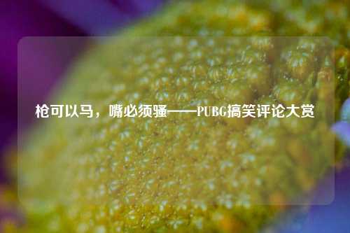 枪可以马，嘴必须骚——PUBG搞笑评论大赏