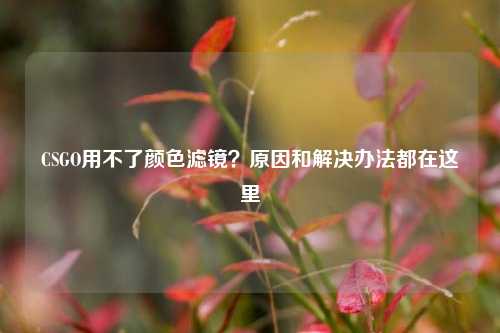 CSGO用不了颜色滤镜？原因和解决办法都在这里