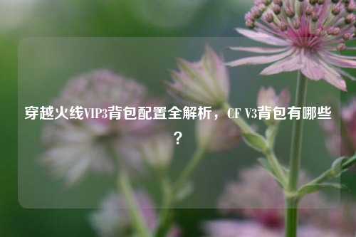 穿越火线VIP3背包配置全解析,CF V3背包有哪些?