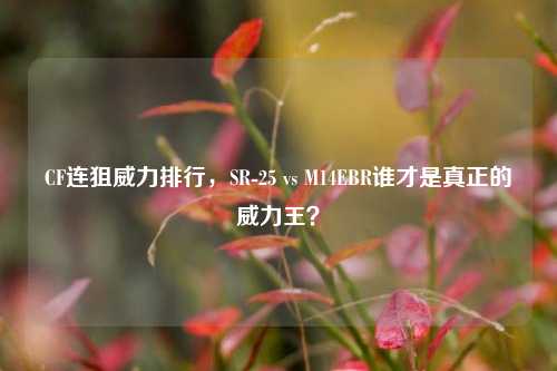 CF连狙威力排行,SR-25 vs M14EBR谁才是真正的威力王?
