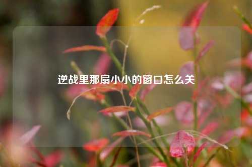 逆战里那扇小小的窗口怎么关