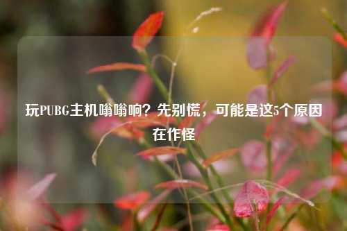 玩PUBG主机嗡嗡响？先别慌，可能是这5个原因在作怪
