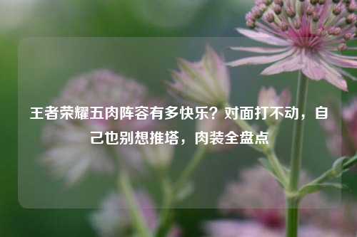王者荣耀五肉阵容有多快乐？对面打不动，自己也别想推塔，肉装全盘点