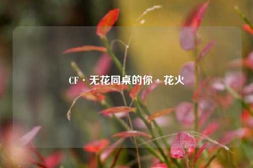 CF·无花同桌的你·花火