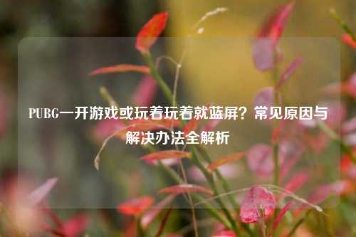PUBG一开游戏或玩着玩着就蓝屏？常见原因与解决办法全解析