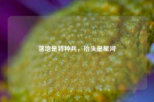 落地是特种兵，抬头是星河