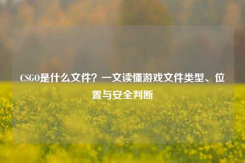 CSGO是什么文件?一文读懂游戏文件类型、位置与安全判断