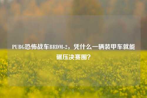 PUBG恐怖战车BRDM-2，凭什么一辆装甲车就能碾压决赛圈？