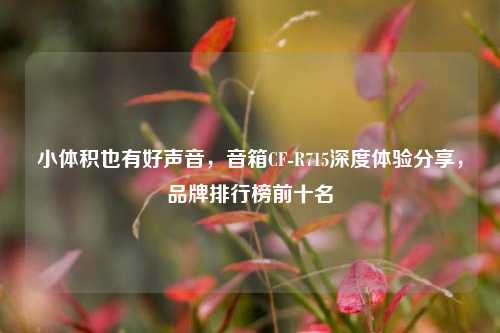 小体积也有好声音，音箱CF-R715深度体验分享，品牌排行榜前十名