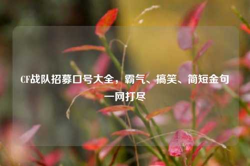 CF战队招募口号大全，霸气、搞笑、简短金句一网打尽