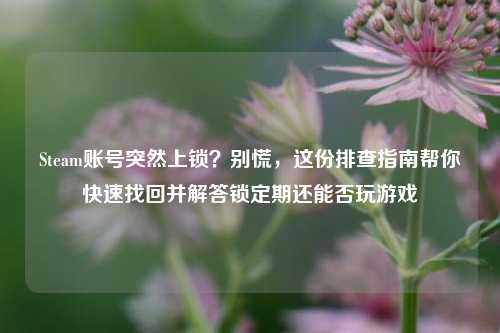 Steam账号突然上锁？别慌，这份排查指南帮你快速找回并解答锁定期还能否玩游戏