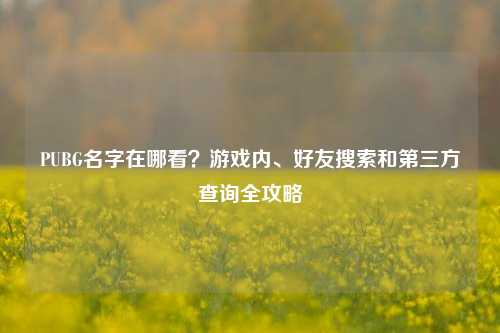 PUBG名字在哪看？游戏内、好友搜索和第三方查询全攻略