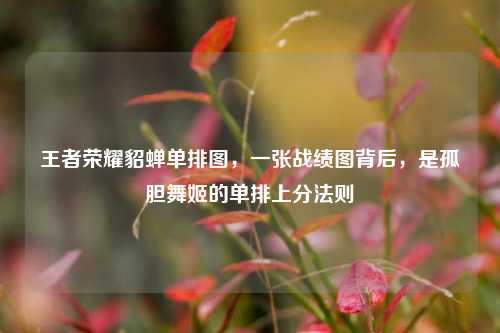 王者荣耀貂蝉单排图,一张战绩图背后,是孤胆舞姬的单排上分法则