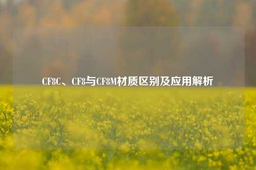 CF8C、CF8与CF8M材质区别及应用解析