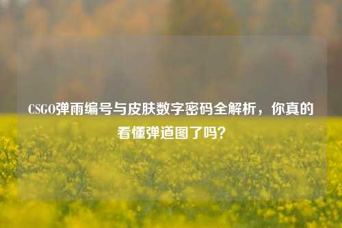 CSGO弹雨编号与皮肤数字密码全解析，你真的看懂弹道图了吗？