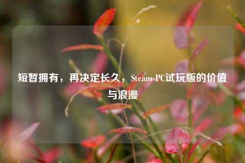 短暂拥有，再决定长久，Steam PC试玩版的价值与浪漫