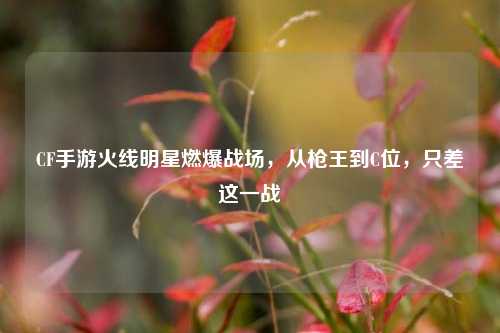CF手游火线明星燃爆战场,从枪王到C位,只差这一战