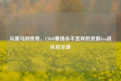 从黑马到传奇,CSGO赛场永不言弃的灵狐Fox战队启示录