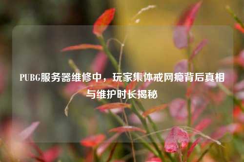 PUBG服务器维修中,玩家集体戒网瘾背后真相与维护时长揭秘