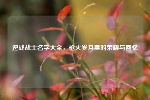 逆战战士名字大全,枪火岁月里的荣耀与回忆