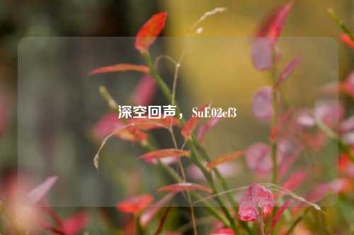 深空回声,SuE02cf3