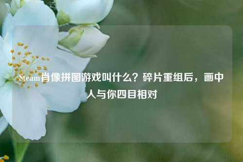 Steam肖像拼图游戏叫什么?碎片重组后,画中人与你四目相对