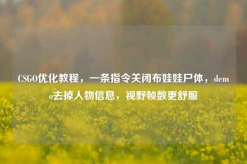 CSGO优化教程，一条指令关闭布娃娃尸体，demo去掉人物信息，视野帧数更舒服