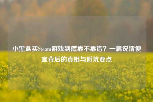 小黑盒买Steam游戏到底靠不靠谱？一篇说清便宜背后的真相与避坑要点