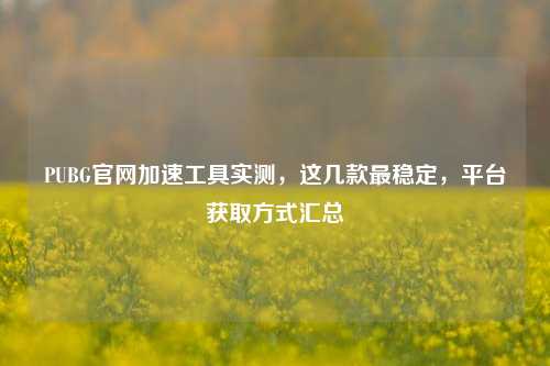 PUBG官网加速工具实测,这几款最稳定,平台获取方式汇总
