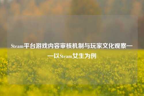 Steam平台游戏内容审核机制与玩家文化观察——以Steam女生为例