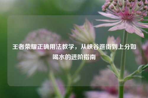 王者荣耀正确用法教学，从峡谷逛街到上分如喝水的进阶指南