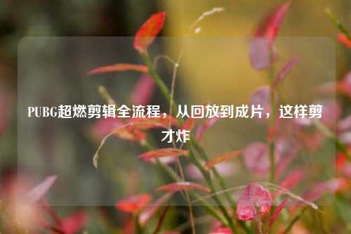 PUBG超燃剪辑全流程，从回放到成片，这样剪才炸