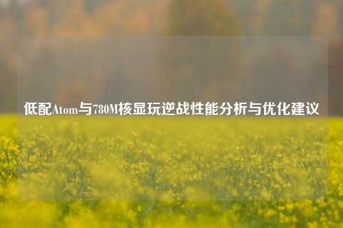 低配Atom与780M核显玩逆战性能分析与优化建议