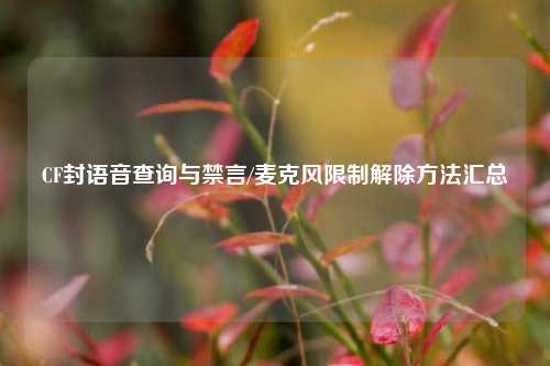 CF封语音查询与禁言/麦克风限制解除方法汇总