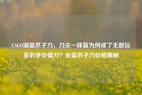 CSGO湖蓝爪子刀，刀尖一抹蓝为何成了无数玩家的梦中情刀？全蓝爪子刀价格揭秘