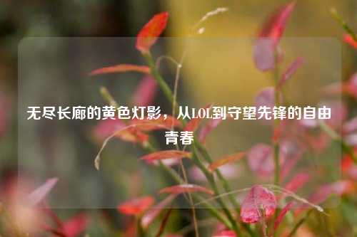 无尽长廊的黄色灯影,从LOL到守望先锋的自由青春