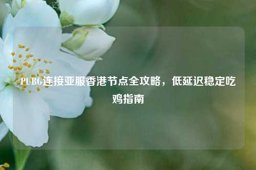 PUBG连接亚服香港节点全攻略，低延迟稳定吃鸡指南