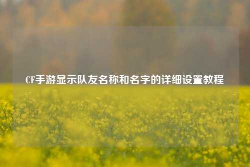CF手游显示队友名称和名字的详细设置教程