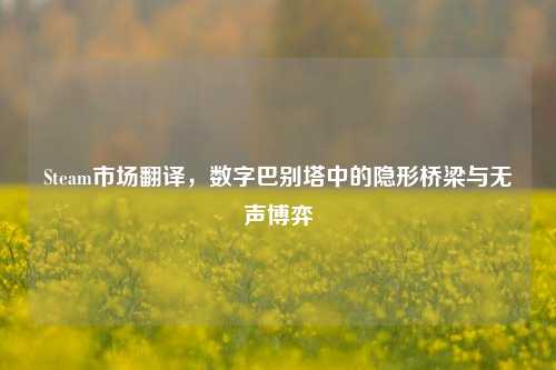 Steam市场翻译,数字巴别塔中的隐形桥梁与无声博弈