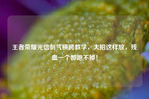 王者荣耀光信剑气横跨教学，大招这样放，残血一个都跑不掉！