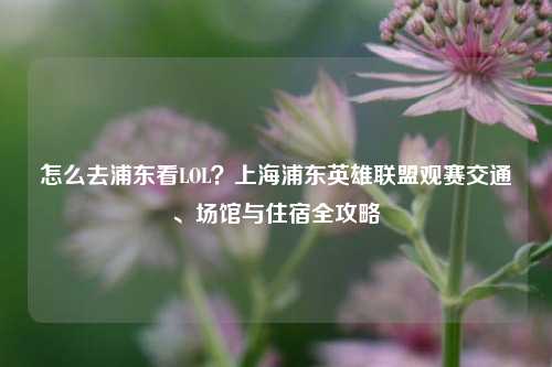 怎么去浦东看LOL?上海浦东英雄联盟观赛交通、场馆与住宿全攻略