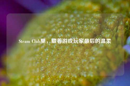 Steam Club里，藏着游戏玩家最后的温柔