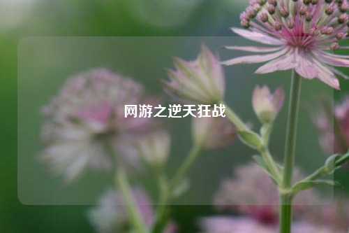 网游之逆天狂战